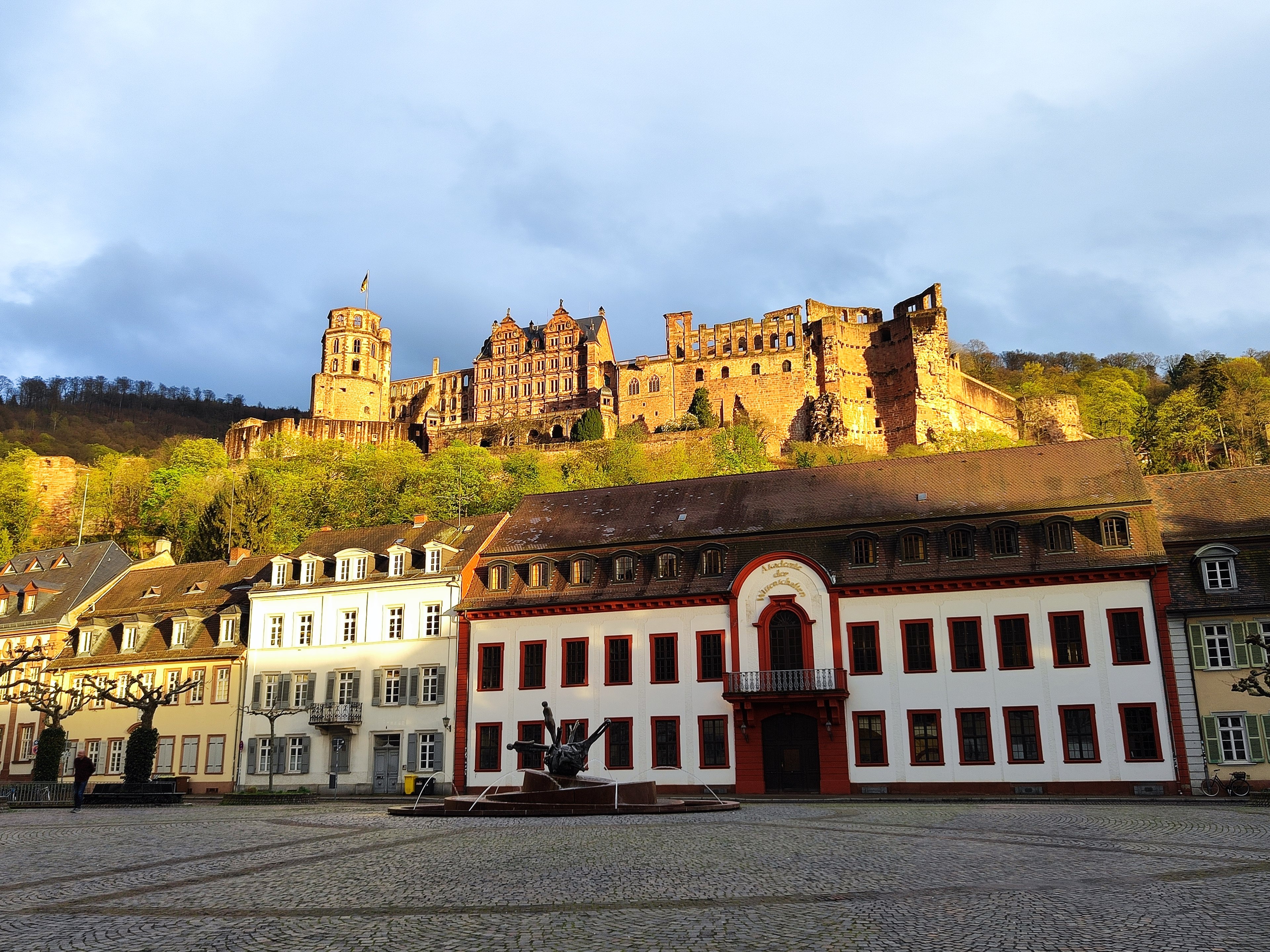 EXPRESS TOUR of Historic Heidelberg - All the Highlights in 1 hour