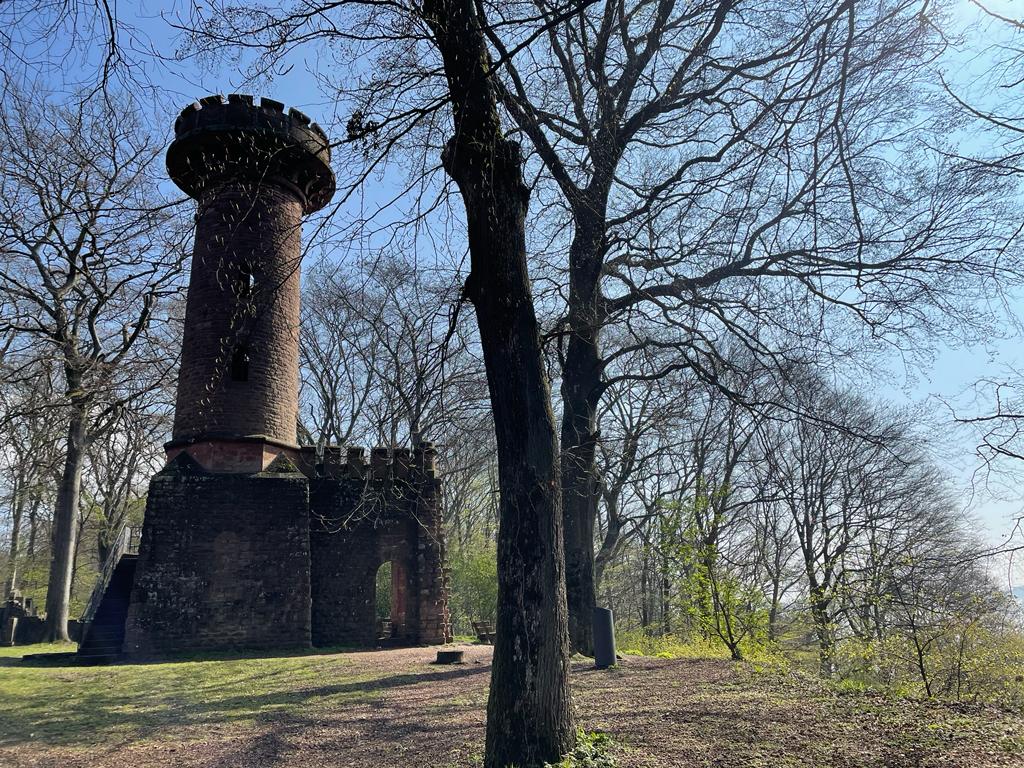 Entdeckungsreisen auf dem Heiligenberg