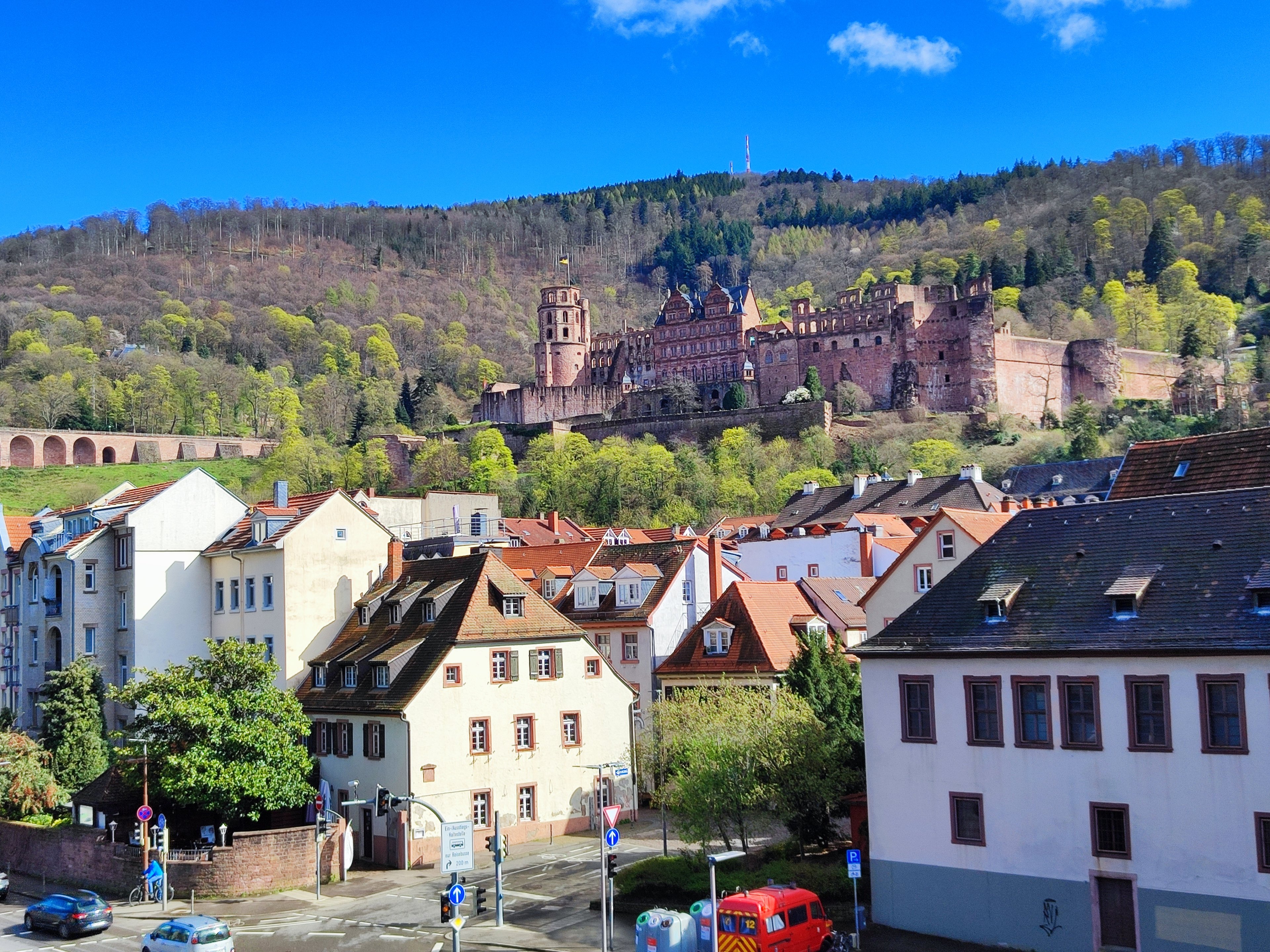 EXPRESS TOUR of Historic Heidelberg - All the Highlights in 1 hour