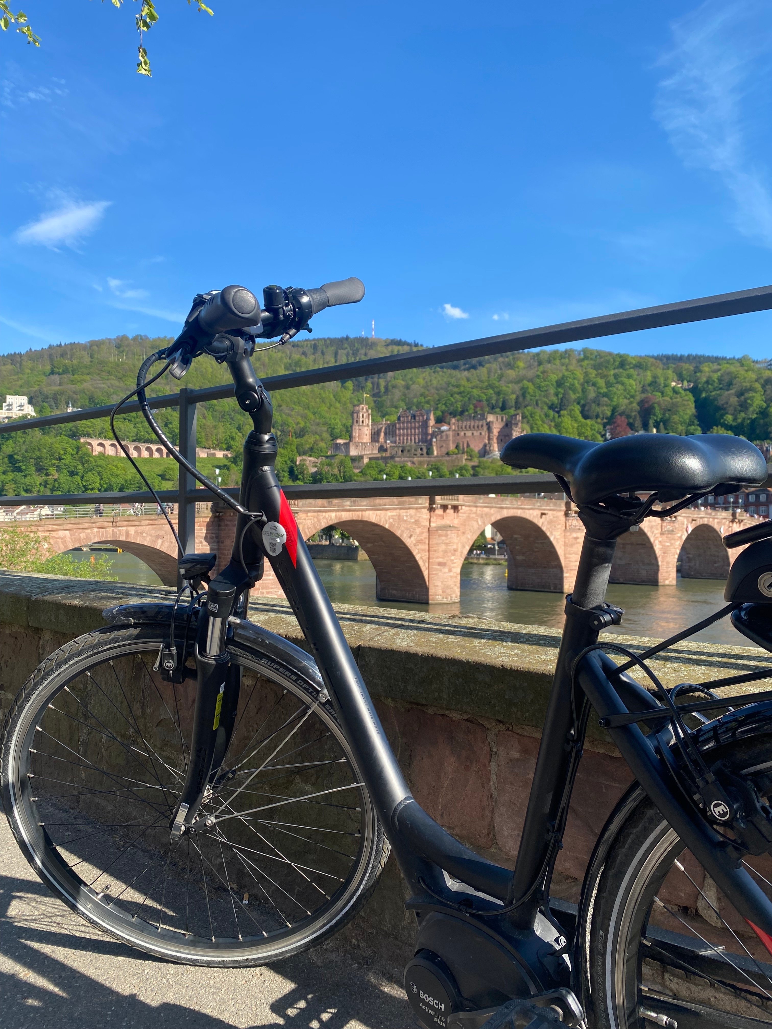 Heidelberg City E-Bike Tour