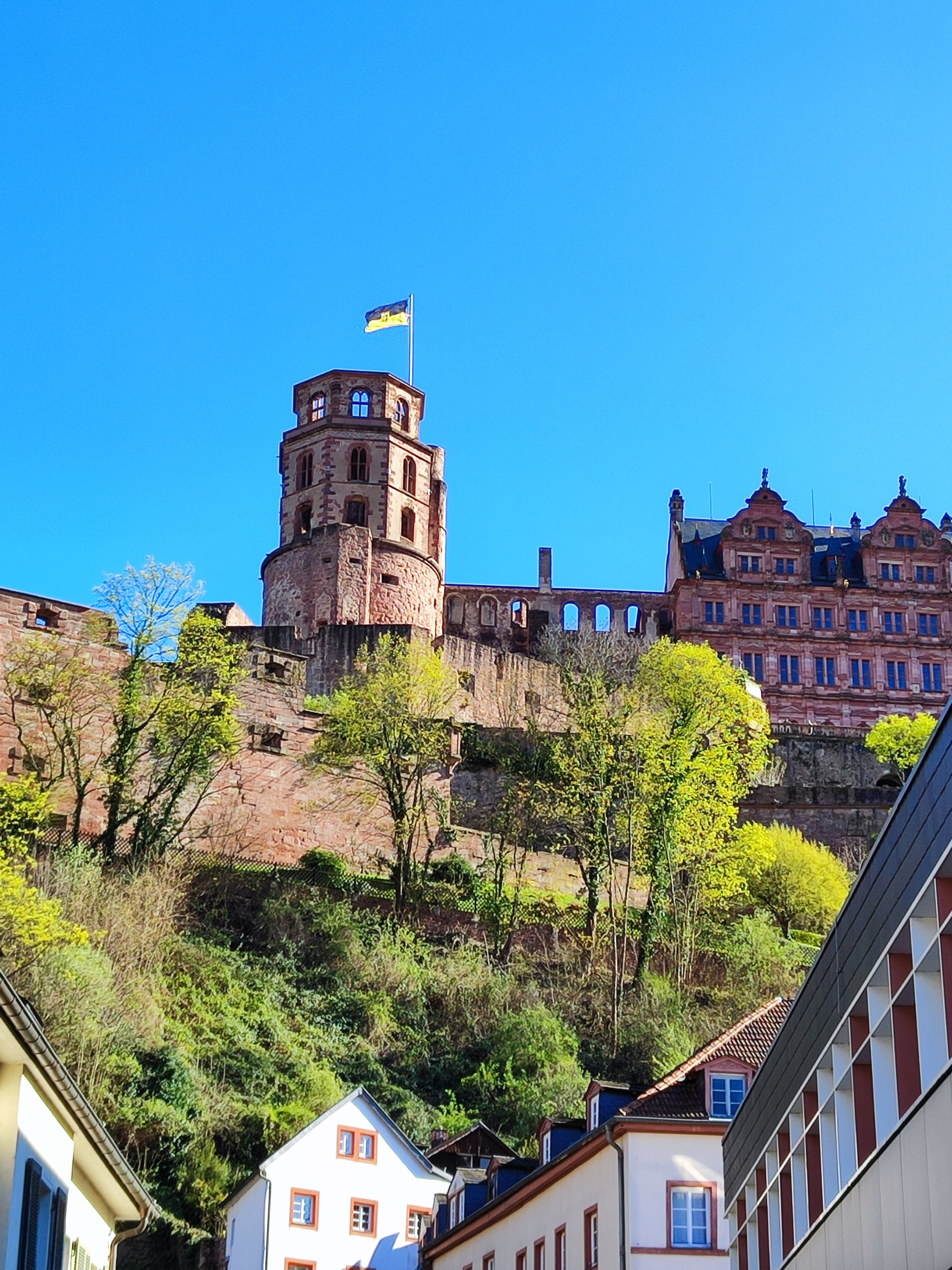 EXPRESS TOUR of Historic Heidelberg - All the Highlights in 1 hour