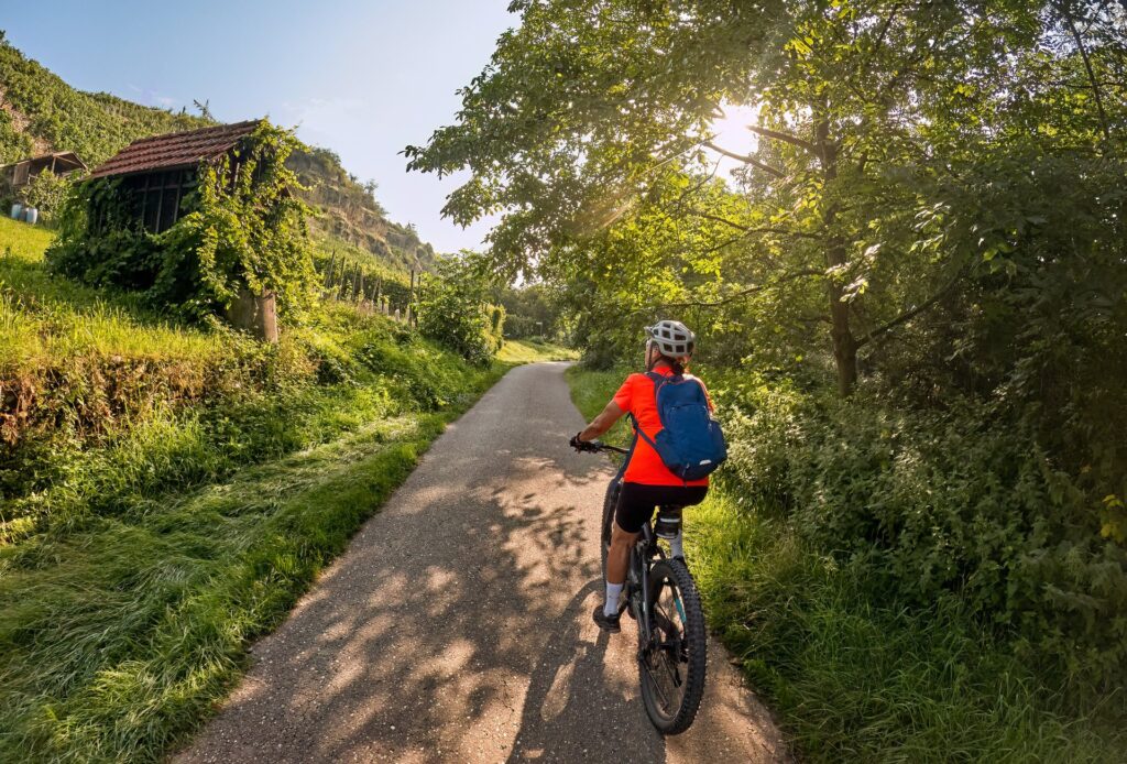 Fahrradtouren in Heidelberg und Umgebung