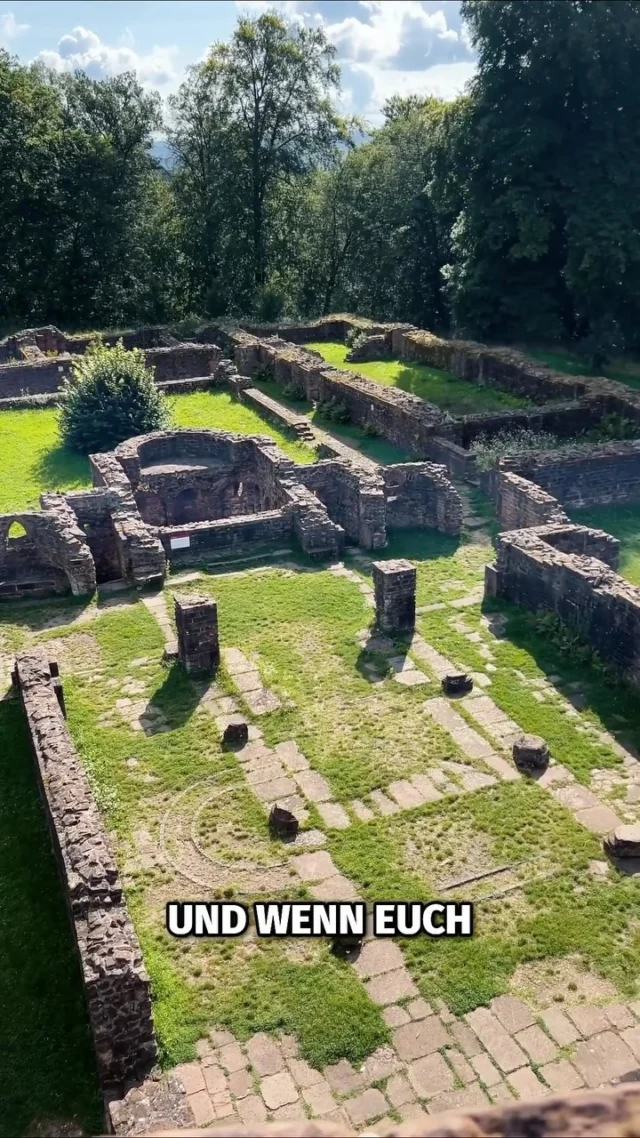 Entdecke mit uns die coolsten Ecken in Heidelberg! Das Video gibt euch schonmal einen kleinen Einblick was euch erwarten könnte 😎 Und wenn ihr das alles selbst erleben wollt, bucht euch gleich jetzt eure nächste Tour bei NiceGuides! 🤝

#heidelberg #niceguides #tourguide #travelguide #sightseeing #heiligenberg #thingstätte