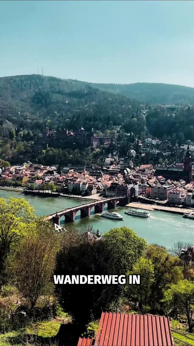 Einer der schönsten Wanderwege Deutschlands!🤩
Yes! Und das in Heidelberg.😲 Der Philosophenweg lohnt sich, versprochen. 
#heidelberg #philosophenweg #niceguides