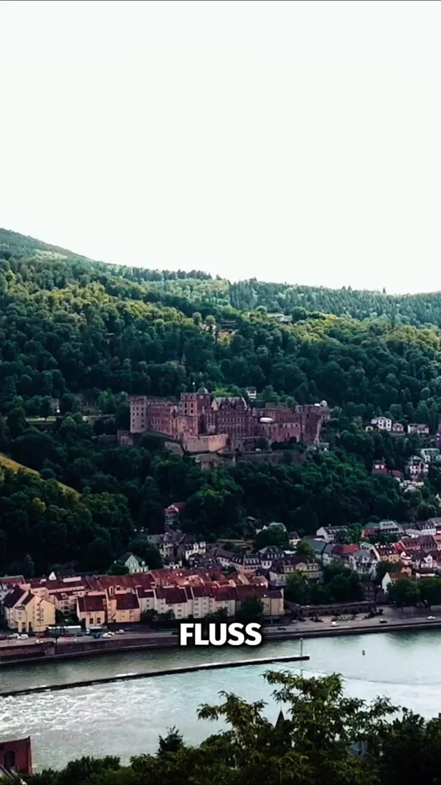 Na, gehst du nach der Info noch im Neckar baden?😱😁
Da will man nicht wirklich ins Wasser.🙊 Also doch lieber nur ein kühles Getränk am Ufer genießen und danach ins Freibad.💧
#badenimneckar #heidelberg #schönesheidelberg