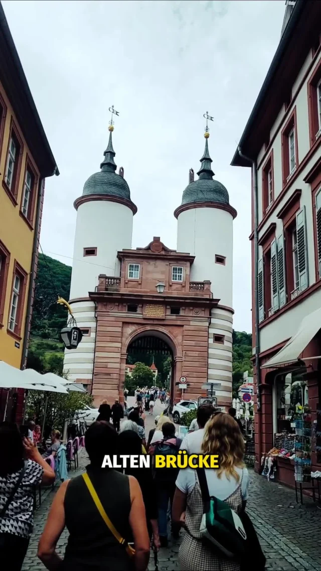 Heidelberg‘s beliebteste Tour!🙌
Wir lieben es, euch die schönsten Ecken Heidelbergs zu zeigen und die sind laut euch ganz klar in der Altstadt.🥰
Bucht euch eure Tour mit NiceGuides und lernt die Stadt nochmal ganz anders kennen.🤩
#niceguides #stadtführung #altstadtheidelberg