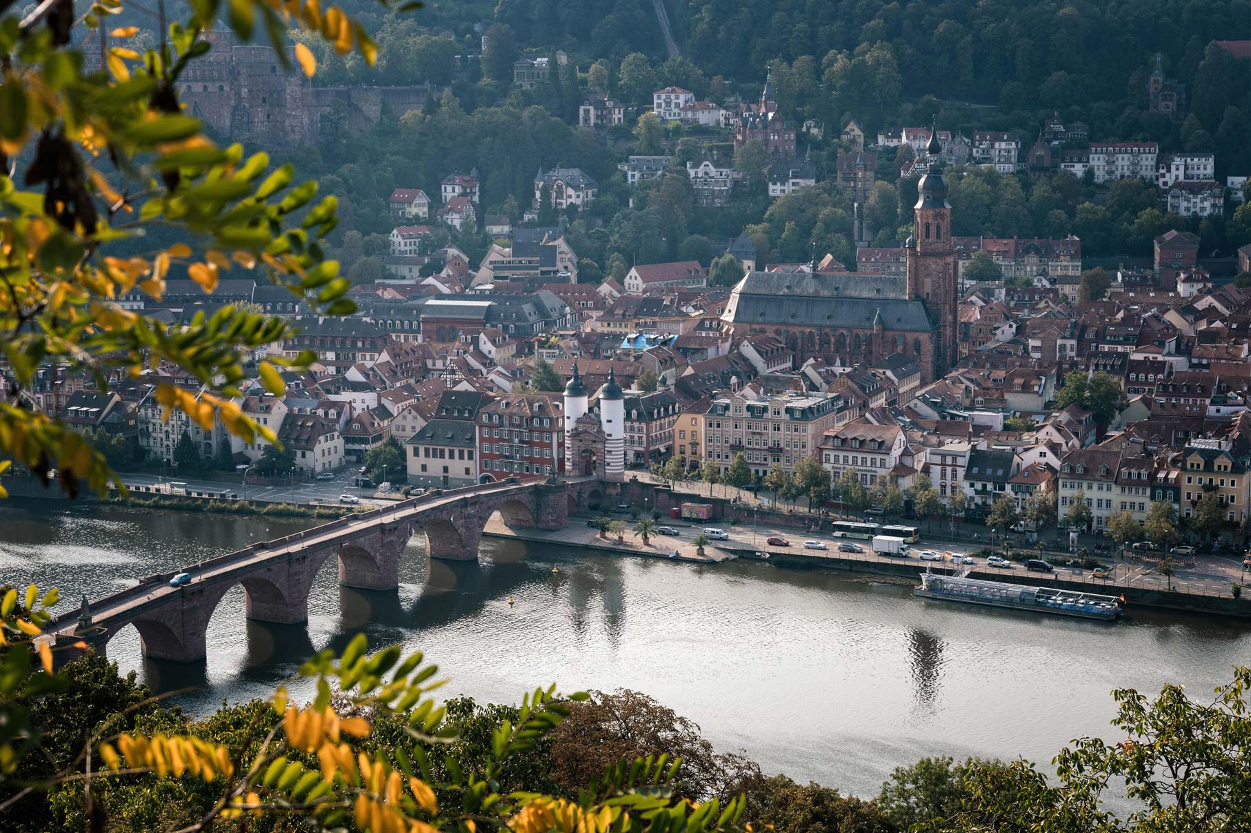 Discover Heidelberg!